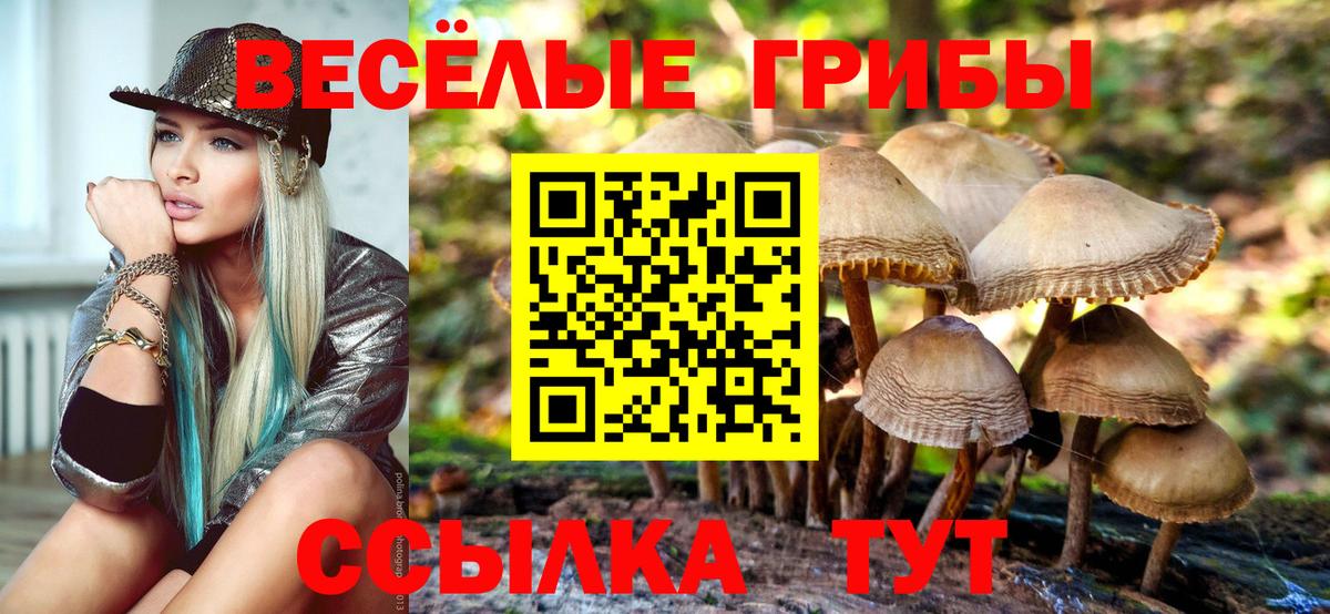 Псилоцибиновые грибы Psilocybe  Вход с VPN  Котельники 